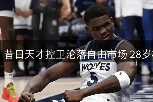 昔日天才控卫沦落自由市场 28岁榜眼恐步西蒙斯后尘