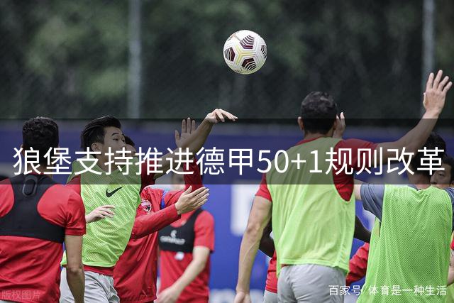 狼堡支持推进德甲50+1规则改革